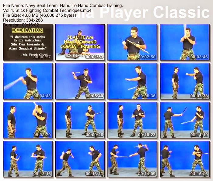 jual video tutorial beladiri Hand To Hand Combat Training video